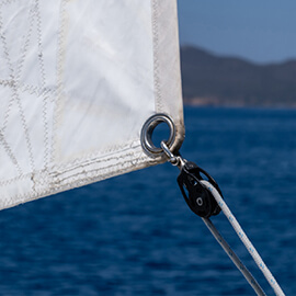 Marine Image